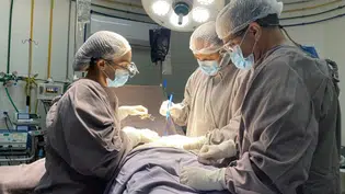 Piauí consolida referência em transplantes e incentivo à doação de órgãos