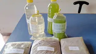 Prefeitura de Coivaras realiza coleta de solo e água para recuperação ambiental