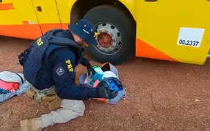 Passageira de ônibus é flagrada transportando 12 tabletes de maconha na bagagem