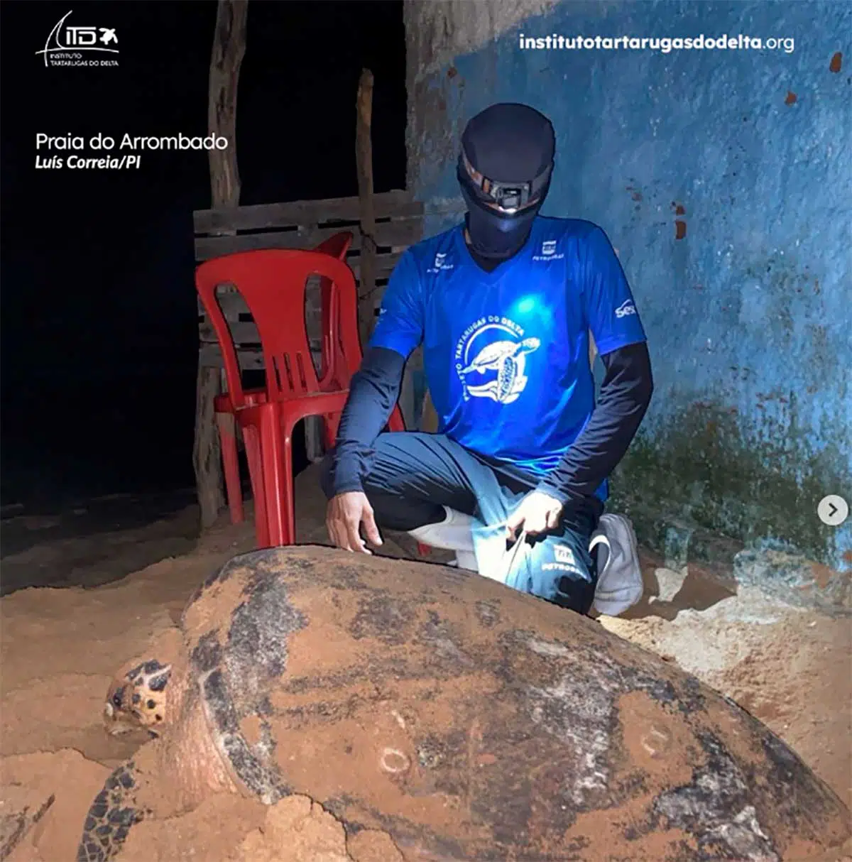 Com cerca de um metro de comprimento, o animal é ameaçado de extinção