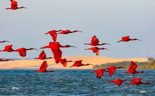 Teresina recebe exposição fotográfica “Expedição Piauí – Filha do Sol do Equador