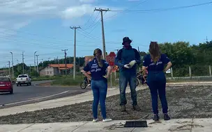 Adapi intensifica fiscalização contra uso irregular de herbicidas em áreas urbanas