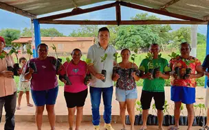 Prefeitura de Uruçuí distribui 10 mil mudas de caju para a agricultura familiar