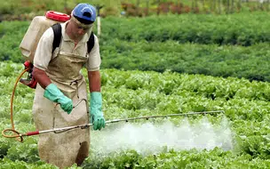 Conhecimento e Prática para Fortalecer a Produção Rural