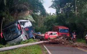 Queda de árvore causa acidente com carro e ônibus na PI-214 em Esperantina