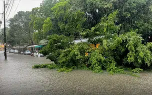 Devido a fortes chuvas Defesa Civil Nacional reforça monitoramento no Nordeste
