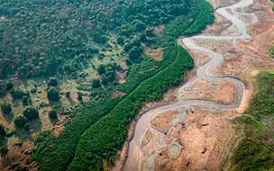 Pesquisa com bactérias na Amazônia pode desenvolver novos medicamentos