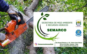 Prefeitura de Coivaras estabelece novo cronograma para podas e reforço de conscientização ambiental