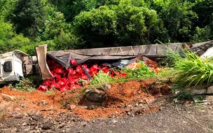 Condutor fica ferido após carreta carregada com cerveja tombar na BR-230