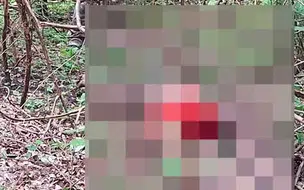 Corpo é encontrado enrolado em rede em área de mata no litoral do Piauí