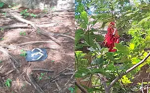 Jovem se finge de morto para escapar de agressões em Assunção do Piauí