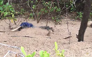 Corpos em decomposição são encontrados por populares em mangue no litoral do Piauí