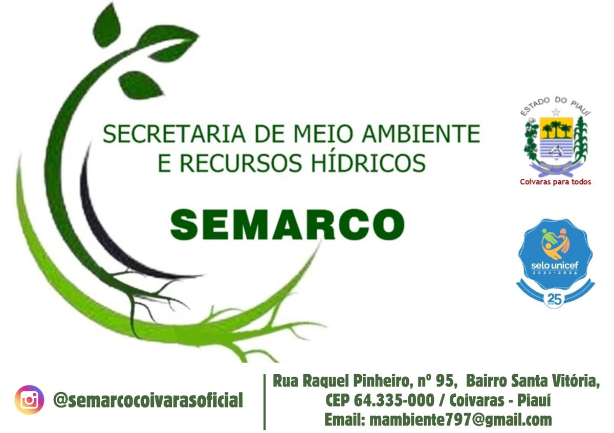 Prefeitura de Coivaras estabelece novo cronograma para podas e reforço de conscientização ambiental