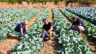 Sada e Adapi fortalecem a certificação da produção familiar no Piauí