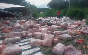 Carga de arroz e flocos de milho fica espalhada na PI 112 após caminhão tombar