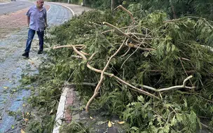 Defesa Civil de Teresina mobiliza equipes para atender ocorrências após forte chuva