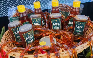 Com exportações que ultrapassam R$ 100 milhões por ano, Piauí é o 2° maior produtor de mel do país