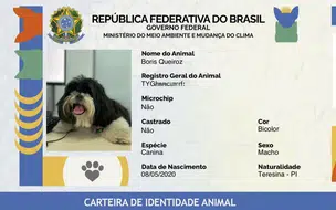 Cães e Gatos em Teresina terão emissão de identidade gratuita nesta sexta (23)