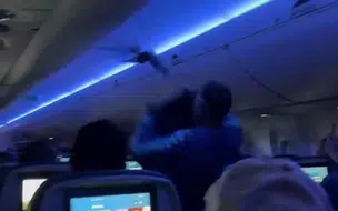 Pegue o Pombo: Pombos invadem avião da Delta e causam atraso em voo nos Estados Unidos