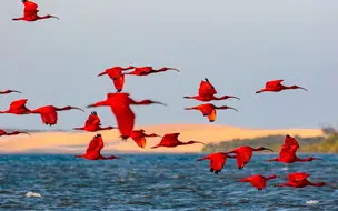 Semana do Meio Ambiente inicia no Piauí com ações educativas nesta segunda (2)