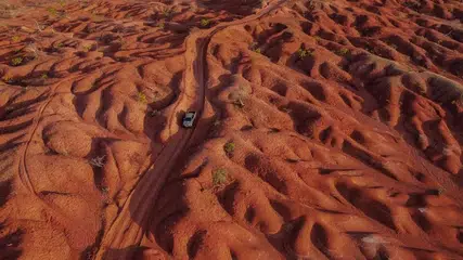 Desertificação: Piauí intensifica ações para recuperar áreas degradadas