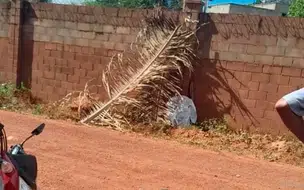 Corpo de idoso é encontrado às margens da BR-343 na zona leste de Teresina