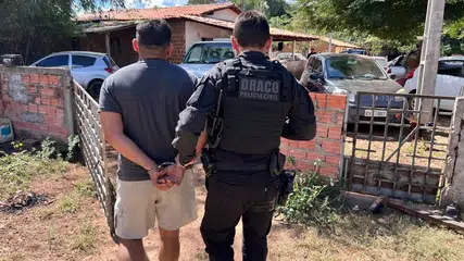 Suspeito de manter estufa de maconha em casa é preso em operação da PC PI