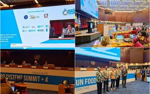 Brasil sai do Mapa da Fome segundo a ONU