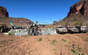 Operação das forças de segurança apreendem 1,5 tonelada de maconha no Piauí