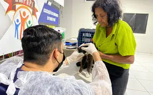 Castramóvel retoma atendimentos e realiza castrações gratuitas em Teresina