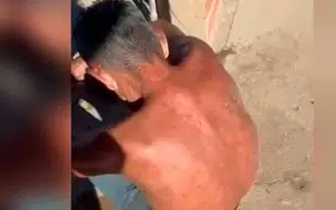 Vídeo: Policial salva idoso atacado por enxame de abelhas em Russas (CE)