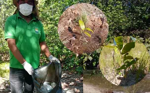 Preservação das nascentes: Coivaras reforça ações ambientais com nova sinalização