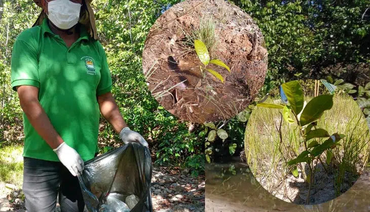 Limpeza das Nascentes e plantio de plantas típicas para proteção das Nascentes
