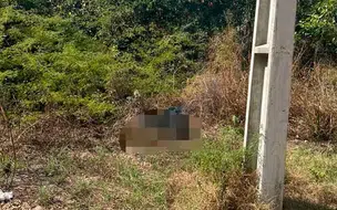 Populares encontram corpo carbonizado em matagal na zona leste de Teresina