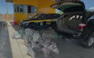 PRF apreende carga de mercadorias sem nota fiscal em Valença