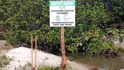 Preservação das nascentes: Coivaras reforça ações ambientais com nova