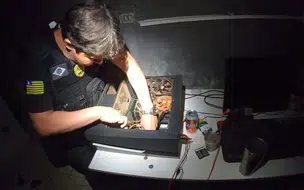 Polícia prende suspeito de invadir sistemas e emitir decisões falsas com credencial de juiz