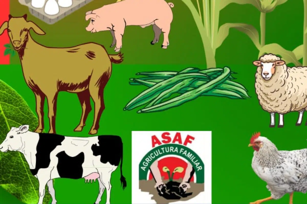 Produtores e Criadores de Coivaras são Convidados para Reunião e Cadastro no Projeto de Agricultura Familiar