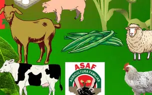 Produtores e Criadores de Coivaras são Convidados para Reunião e Cadastro no Projeto de Agricultura