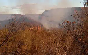 Proibição de queimadas entra em vigor no Piauí a partir desta sexta (15)
