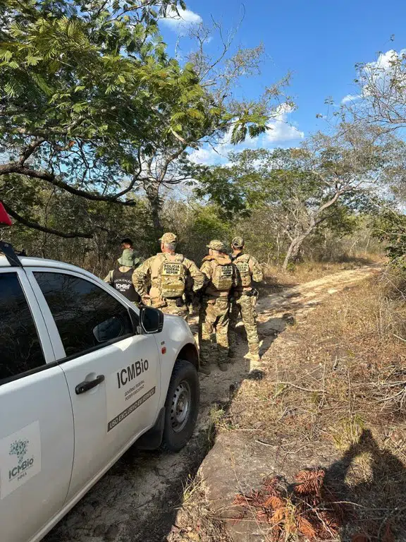 Durante fiscalização, foram mapeados pontos de caça e destruídas estruturas utilizadas por caçadores