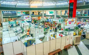 Começa hoje o Festival da Cajuína em Teresina; Confira a programação