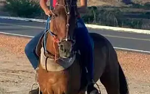 Polícia investiga morte suspeita Rainha da Cavalgada de 16 anos no Ceará