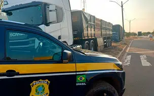 PRF apreende madeira nativa transportada com documentação inválida em Picos