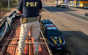 PRF apreende 40 m³ de madeira transportada sem licença ambiental em Teresina