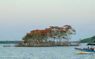 Folha de São Paulo destaca as belezas do litoral piauiense