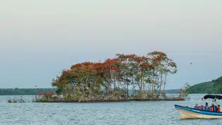 Folha de São Paulo destaca as belezas do litoral piauiense