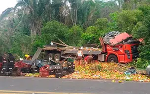 Motorista fica ferido após caminhão carregado de alimentos tombar na BR-316