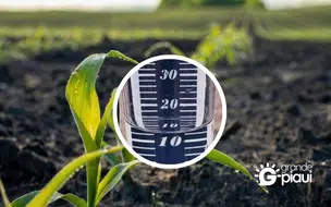 Chuva de 11 mm registrada em Coivaras beneficia agricultura e meio ambiente