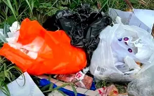 Mulher é indiciada após abandonar feto em área de mata na zona Leste de Teresina